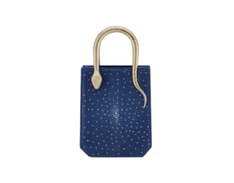 Bolso mini Serpentine