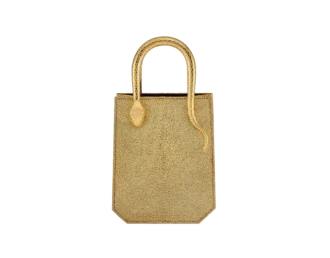 Bolso mini Serpentine