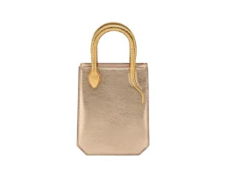 Bolso mini Serpentine
