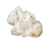 Bvlgari Allegra Magnifying Musk Eau De Parfum Bvlgari Allegra Magnifying Musk Eau De Parfum