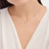 Collar Divas’ Dream Collar Divas’ Dream