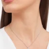 Collar Divas’ Dream