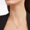 Collar Divas’ Dream