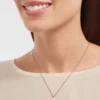 Collar Divas’ Dream Collar Divas’ Dream